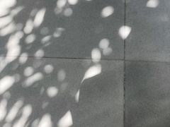 -Apple 零售店(Causeway Bay)