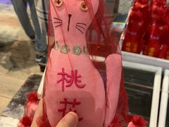 -猫咪博物馆(顶澳仔猫街店)