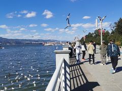-滇池海埂公园