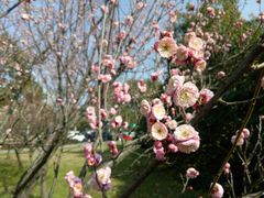 -渤公岛生态公园