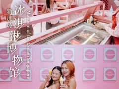 -新加坡乌节希尔顿酒店 (SG Clean)