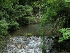 -龙湾潭国家森林公园