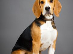 -星巴克臻选(郑州国贸360广场店)