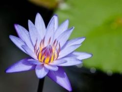 -金都微美·精准护肤·疗愈SPA