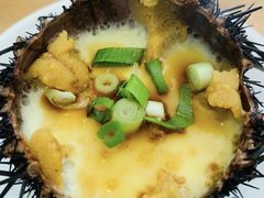 -海胆小馆(东北水饺·春柳店)