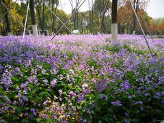 -白塘生态植物园