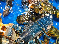 -盒马鲜生(顺义店)