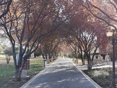 -石家庄市植物园