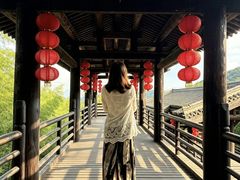 -大唐贡茶院