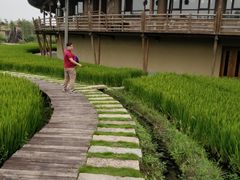 -乌村