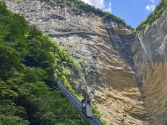 -鹿院坪生态旅游景区