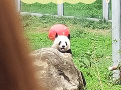 -西安秦岭野生动物园
