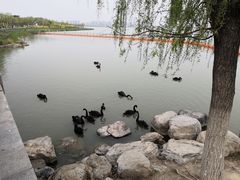 -天津东丽湖风景区