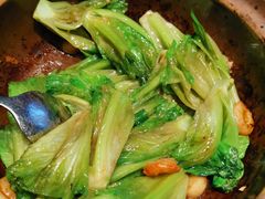 啫啫生菜煲-陶陶居酒家(海岸城店)