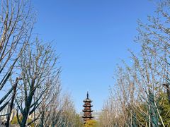 -龙华寺