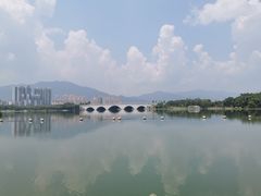 -飞来湖湿地公园
