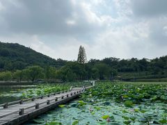 -南北湖风景区