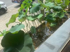 -何家一碗面(南大街店)