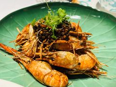 -桂满陇·海市蜃楼·黑金(国金店)
