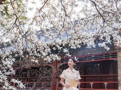 -潭柘寺景区