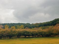 -苏州上方山国家森林公园