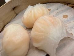 虾饺-万荟轩海鲜·粤式点心自助餐厅(蓝海风万怡酒店)