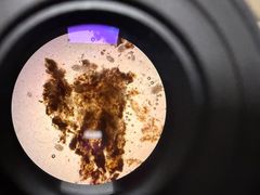 -美联众合动物医院·伴可分院·内科中心医院