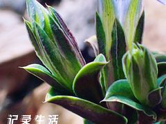 -玉渡山风景区-售票处