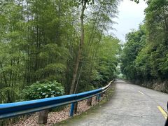 -九鲤溪瀑景区