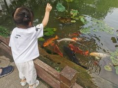 -杭州花家山庄