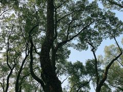 -天一阁博物院
