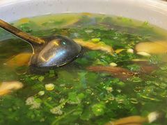 -老味道1992(武当山店)