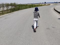 -南汇嘴观海公园