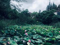 -上海怡沁园度假酒店