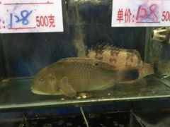-真味馆(侨港碧海银滩店)