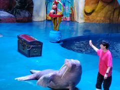 -烟台海昌鲸鲨海洋公园