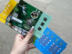 -西双版纳原始森林公园