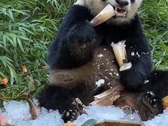 -广州长隆野生动物世界