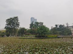 -四川大学(望江校区)