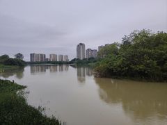 -广东花都湖国家湿地公园