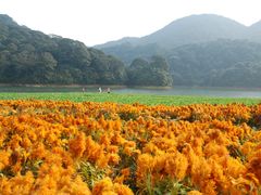 景点-广州市石门国家森林公园