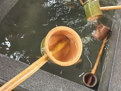 -庐山风景名胜区-东林大佛