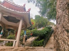 -青礁慈济宫