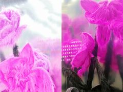 -X88商场(铜仁路店)