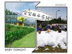 -前小桔亲子创意农场·草莓采摘·露营烧烤