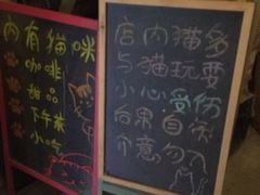 -猫色咖啡·猫咖