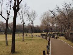 -西安曲江寒窑遗址公园