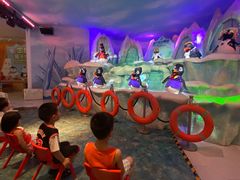 -帝企鹅自助餐厅•儿童岛•真企鹅(长隆企鹅酒店)