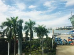-国际邮轮中心码头(厦鼓码头)