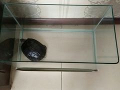 -向阳羊汤(千峰店)